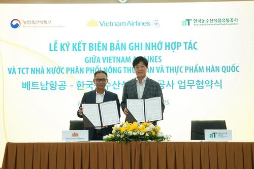 Thưởng thức ẩm thực Hàn Quốc trên chuyến bay Việt Nam