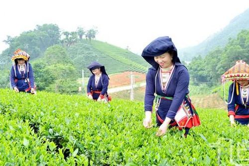 Khẩn trương sửa đổi tiêu chí phân bổ vốn Chương trình MTQG phát triển KT-XH vùng dân tộc thiểu số, miền núi
