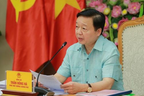 Vinafood 1 cần khẳng định vai trò doanh nghiệp lương thực nòng cốt và phát triển nông nghiệp bền vững