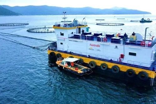 Bài 2: Nuôi biển với 'cuộc hẹn' chuyển đổi xanh