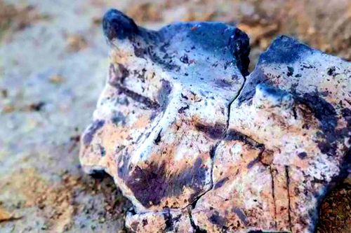 Bát cổ khắc mặt người có sừng gây chấn động giới khảo cổ