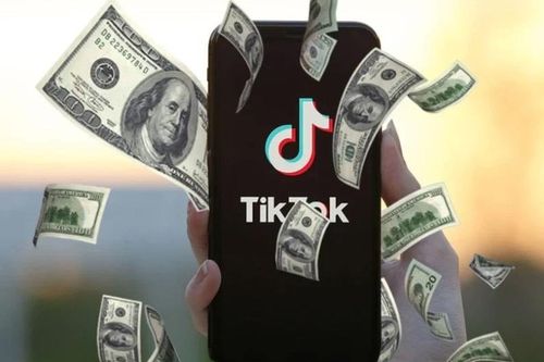 Coi chừng sập bẫy khóa học làm giàu online từ TikTok