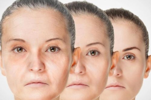 Phát hiện phân tử chống lão hóa trong máu người