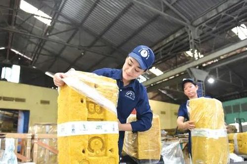 Vững bước vượt khó, kiến tạo sức bật mới