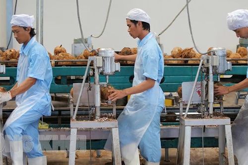 Bến Tre - 'xứ dừa' vươn mình