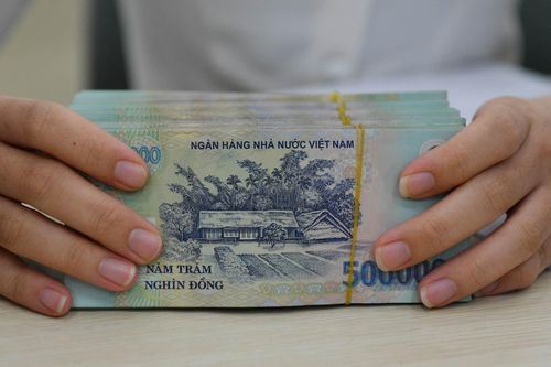Cục Thuế yêu cầu dừng kiểm tra thuế tại trụ sở người nộp thuế