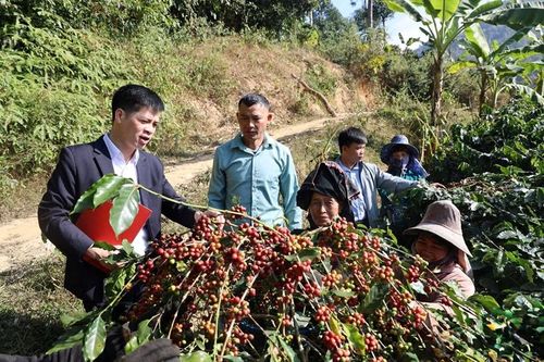 'Đòn bẩy' tạo cuộc sống mới cho đồng bào dân tộc thiểu số Sơn La