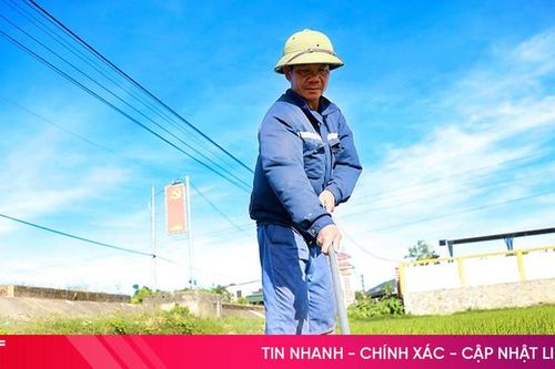Nắng mưa thất thường, nông dân lo phòng sâu bệnh 'tấn công' lúa hè thu