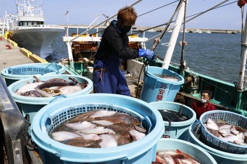 'Thực phẩm xanh' tạo nên làn sóng bền vững và an ninh ở Đông Á