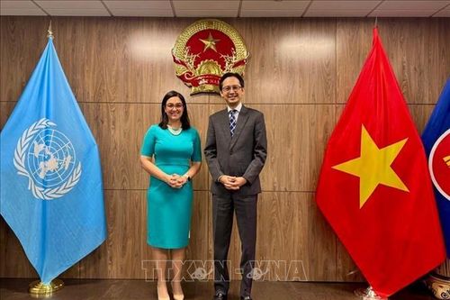 Việt Nam cam kết đóng góp tích cực hơn nữa trong nhóm G77 tại LHQ
