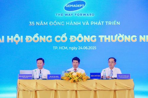 'Gemadept sẽ cố gắng thoái vốn mảng cao su trong năm nay'