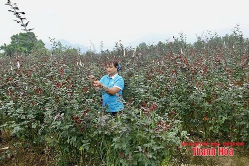 Bức tranh nhiều gam màu sáng