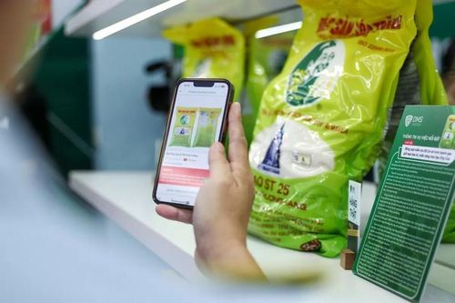 Người tiêu dùng cũng cần thay đổi hành vi mua sắm để chống hàng giả