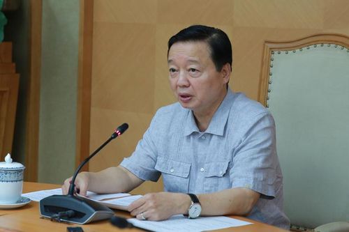 Cây xanh phải là đối tượng độc lập trong quy hoạch
