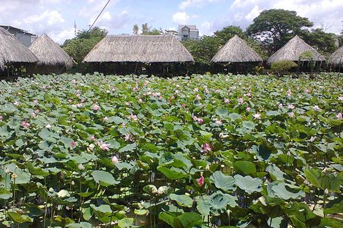 Phát triển du lịch, góp phần tạo dựng hình ảnh Đất Sen hồng