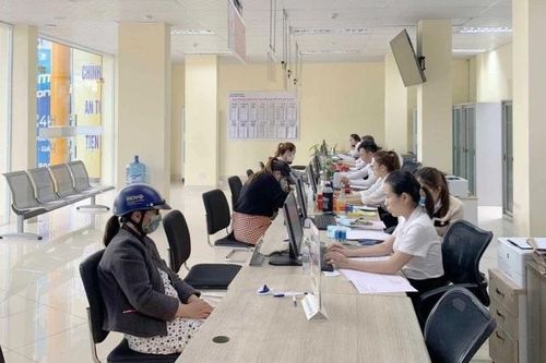 UBND tỉnh Bình Định yêu cầu các địa phương, đơn vị nghiêm túc, tích cực phối hợp xử lý kịp thời các hồ sơ thử nghiệm