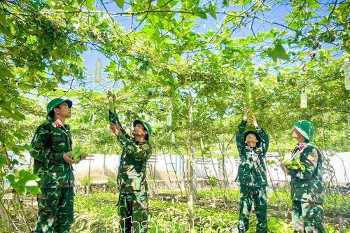 Lữ đoàn Công binh 293: Đẩy mạnh phong trào tăng gia sản xuất