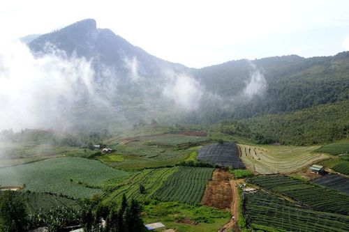 Khát vọng ở vùng đất mù sương