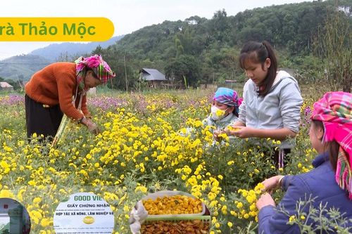 Mô hình kinh tế xanh tại Văn Bàn