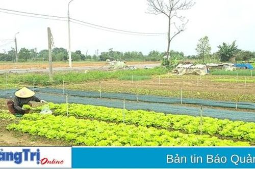 Cần 'tiếp sức' cho các tổ hợp tác phát triển