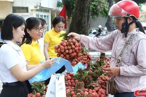 Hỗ trợ tiêu thụ 1,5 tấn vải thiều Bắc Giang