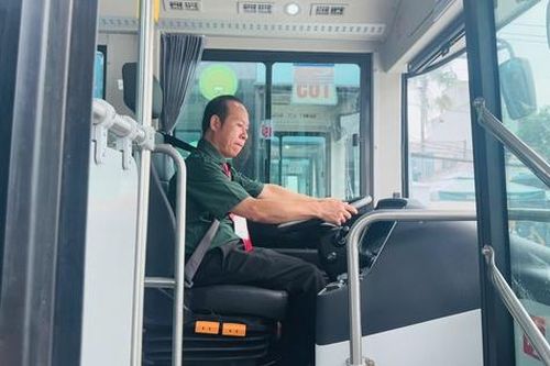 TP.HCM: Tháng 7 sẽ vận hành 37 tuyến buýt Xanh có trợ giá