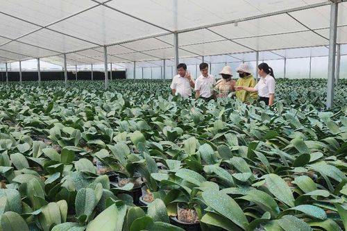 Gỡ nút thắt vốn cho nông nghiệp công nghệ cao