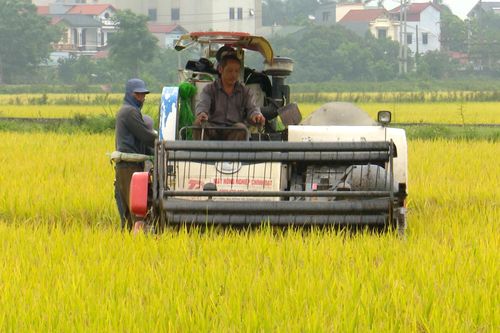 Nông dân Thủ đô chuẩn bị xuống đồng vụ mùa