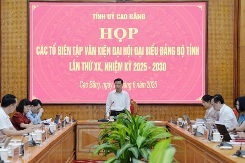 Họp các tổ biên tập văn kiện Đại hội đại biểu Đảng bộ tỉnh lần thứ XX, nhiệm kỳ 2025 - 2030