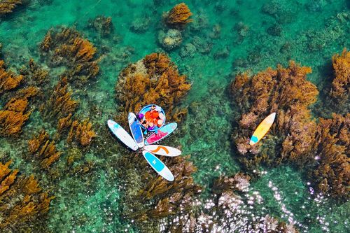 'Trốn' phố thị ồn ào, về Quy Nhơn ngắm rong mơ nhuộm vàng đáy biển