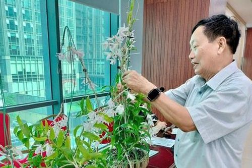 Hà Nội hướng tới nền sản xuất rau – hoa chất lượng cao, bền vững