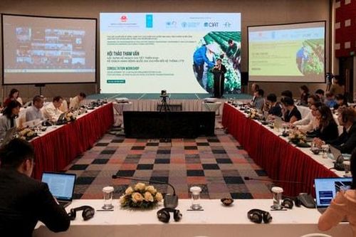 Việt Nam bảo đảm an ninh lương thực, giảm phát thải khí nhà kính