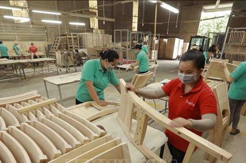 Ngành gỗ: Minh bạch, đáp ứng yêu cầu truy xuất nguồn gốc