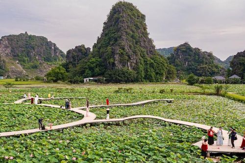 Mùa sen đánh thức vẻ đẹp hang Múa