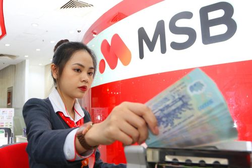 Một doanh nghiệp Nhà nước chưa thể thoái vốn tại MSB
