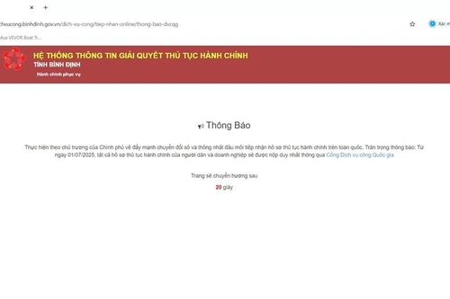 Bình Định chính thức đóng giao diện Cổng Dịch vụ công tỉnh