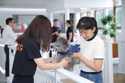 Nền kinh tế thú cưng tại Trung Quốc đang bùng nổ