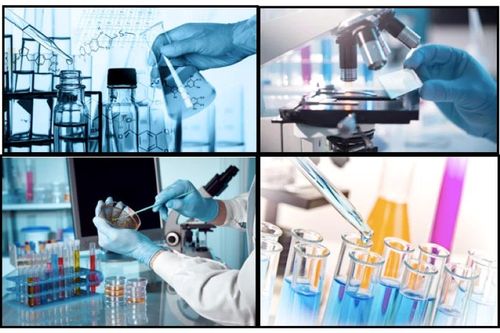 Xử phạt và tước hoạt động 9 tháng đối với Công ty cổ phần Chứng nhận và kiểm nghiệm FAO