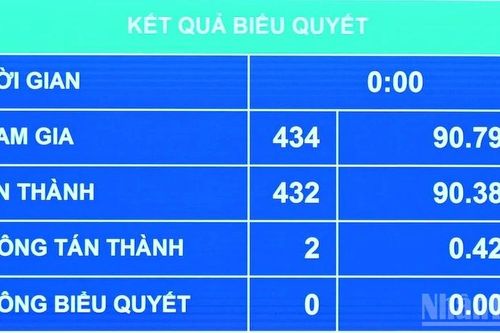 Bổ sung thẩm quyền phân cấp của Hội đồng nhân dân cấp tỉnh