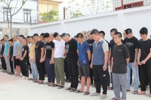 Công an Nghệ An triệt xóa băng nhóm lừa đảo công nghệ cao, bắt giữ gần 100 đối tượng
