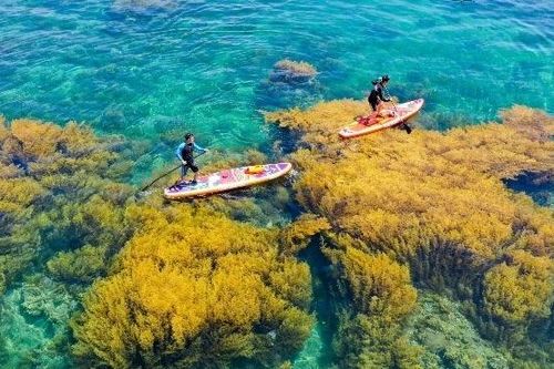 Đến Nhơn Hải, thả dáng giữa cánh đồng rong mơ kỳ ảo
