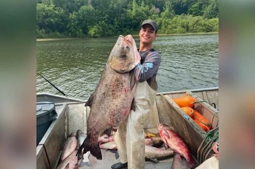 Cá mè 50kg và loạt thủy quái khủng từng lọt lưới ngư phủ