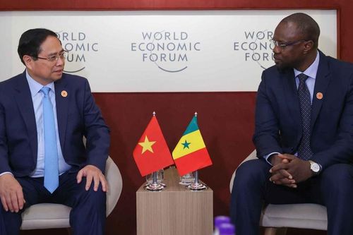 Việt Nam sẵn sàng tiếp tục cử chuyên gia nông nghiệp chia sẻ kinh nghiệm phát triển và hỗ trợ Senegal bảo đảm an ninh lương thực