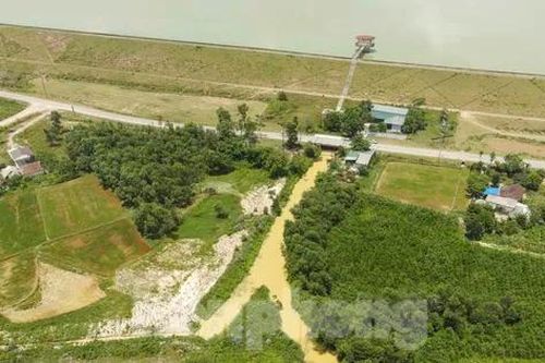 Người dân lo lắng khi hồ cấp nước sinh hoạt bỗng vàng đục bất thường nhiều ngày