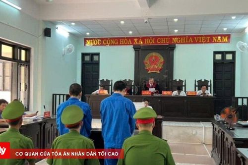 Mua 400 viên ma túy để bán kiếm lời, lĩnh án hơn 11 năm tù
