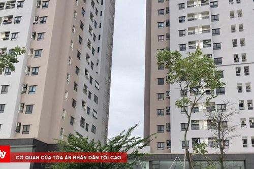 Cư dân lĩnh án vì đánh người trong lúc khắc phục bão Yagi