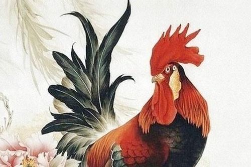 Tháng 6 âm, 4 con giáp này may mắn tìm đến, tiền vào đầy túi