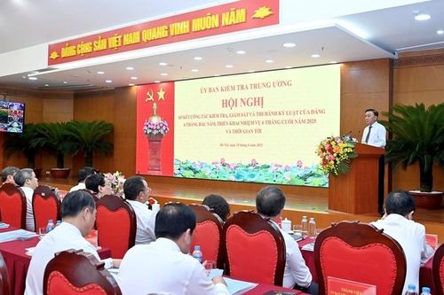 Ủy ban kiểm tra các cấp đã xem xét thi hành kỷ luật 91 tổ chức đảng, 705 đảng viên