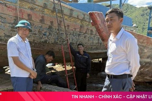 Nhiều cơ sở đóng tàu không phép