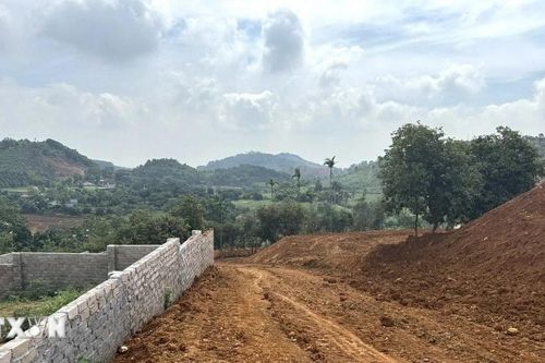 Hà Nội: Lợi dụng hợp nhất, đất đồi ở Ba Vì đang bị san lấp, cày xới